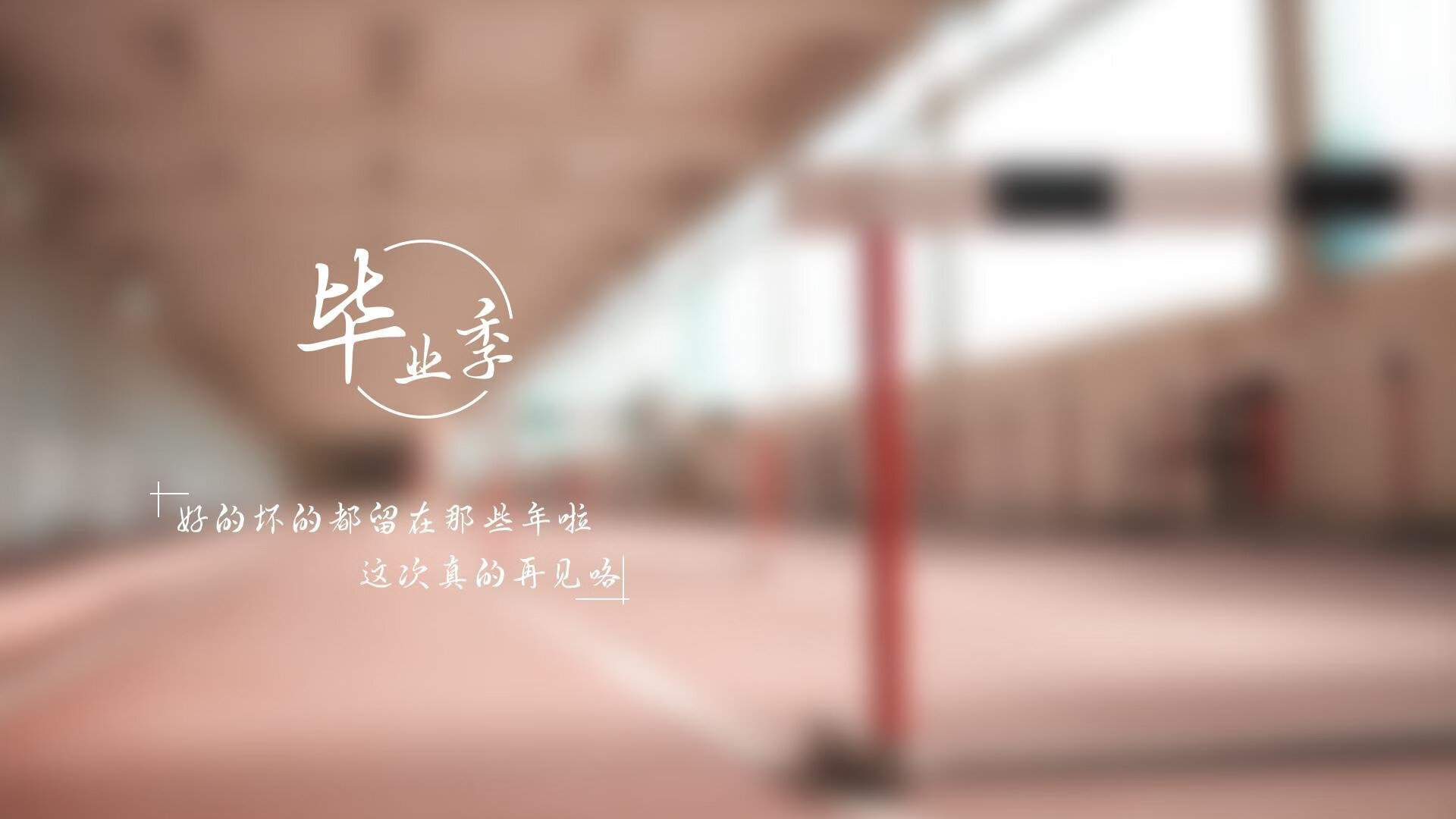 主教练罗纳德·科曼在欧洲杯前面临伤病困扰，弗兰基·德容和库普梅纳斯等主力缺阵。