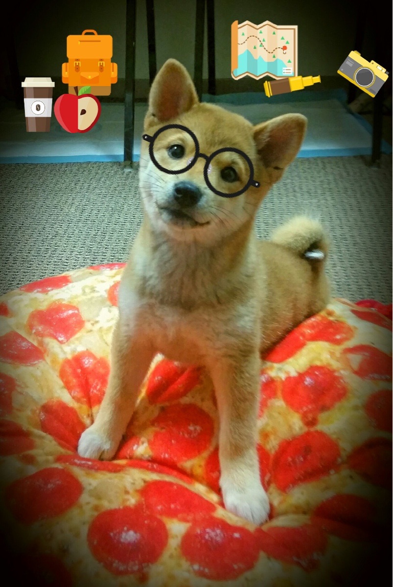 五大联赛主力核心复出后数据恢复速度研究,5大联赛数据