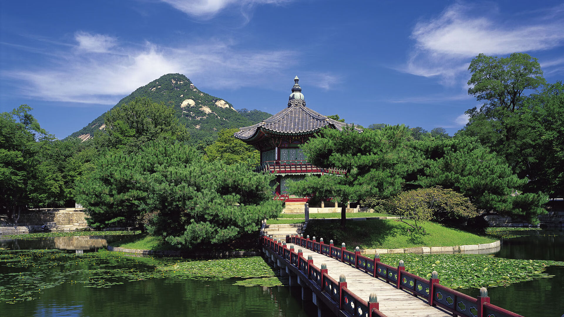 国际乒联混合团体世界杯：德国队赛制分析与前景预测，德国世乒赛名单