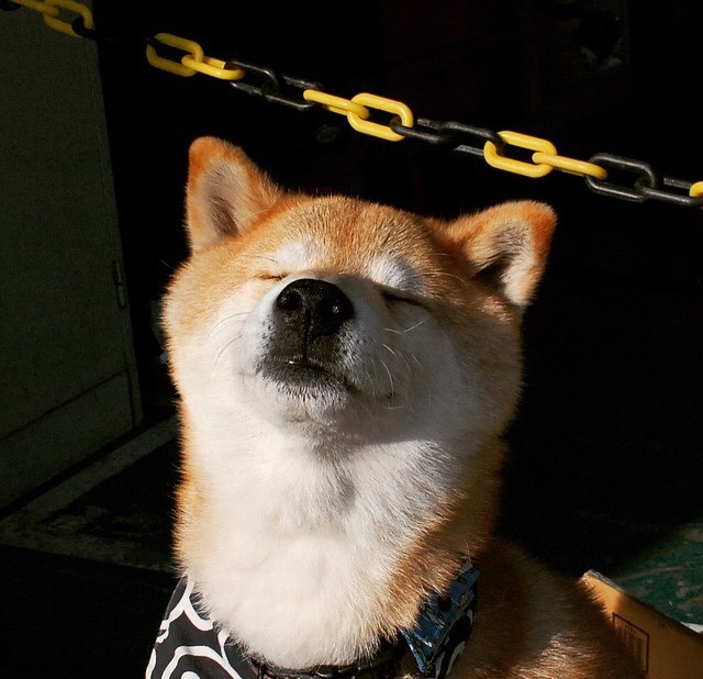 JIU YOU GAME-深圳领航队稳定首发阵容为季后赛做准备，深圳领航者青年队名单