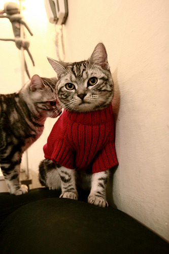 九游娱乐(jiuyou)官网-裁判培训引入情境模拟提升临场判断力，裁判人员培训的主要内容