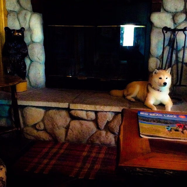 足球裁判数据化评估机制尚未成型,足球裁判分析