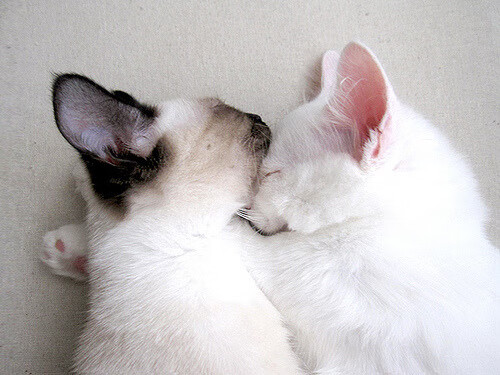 九游娱乐-世界杯崭新战术：细节决定成败，奇思妙想引领潮流，世界杯方面