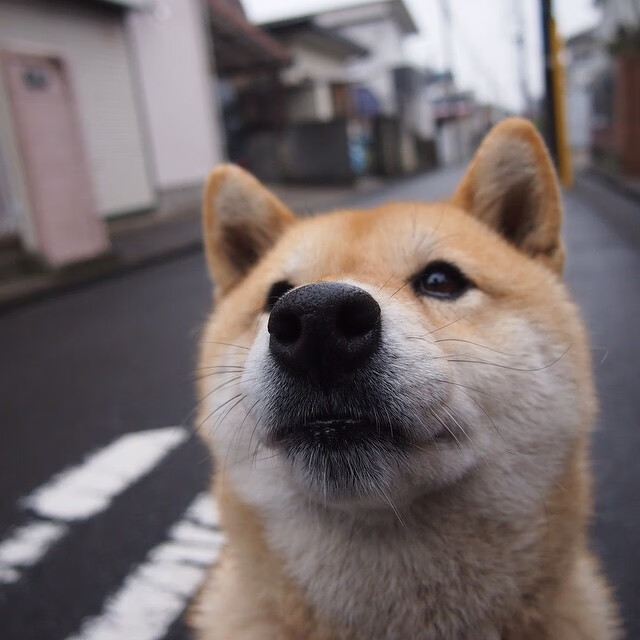 球员跨国婚礼成为话题，文化交流延伸至生活层面