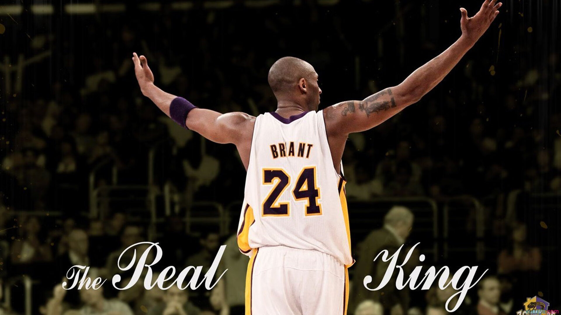 篮球场馆全天候智能管理系统提升赛事组织效率，篮球场智能化运营方案